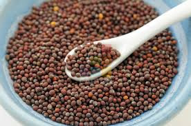 Mustard Seed 15kg